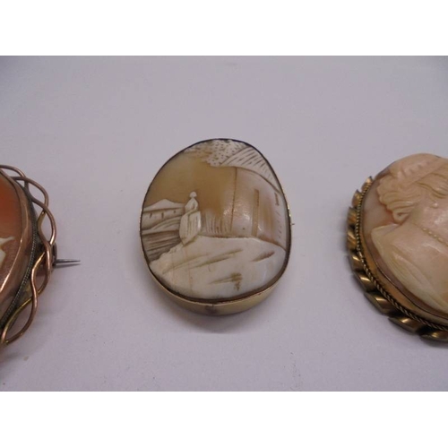 43 - Three cameo brooches and a cameo pendant.