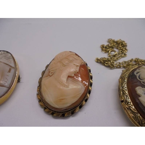 43 - Three cameo brooches and a cameo pendant.