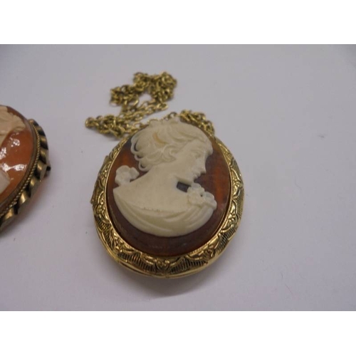 43 - Three cameo brooches and a cameo pendant.