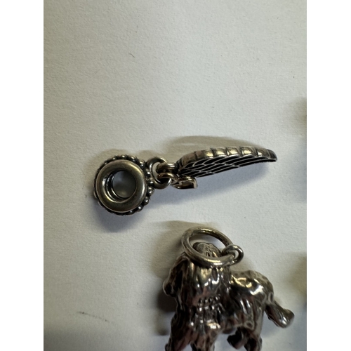 48 - 5 Silver Pandora charms