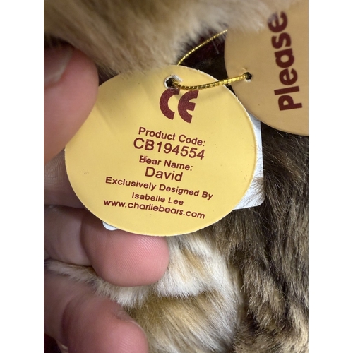 280 - A Charlie Bear David