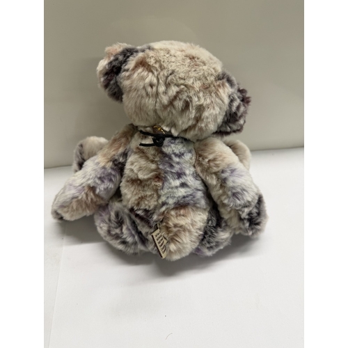 292 - A Charlie Bear Ragsy