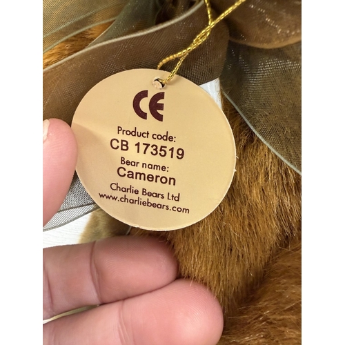 295 - A Charlie Bear Cameron