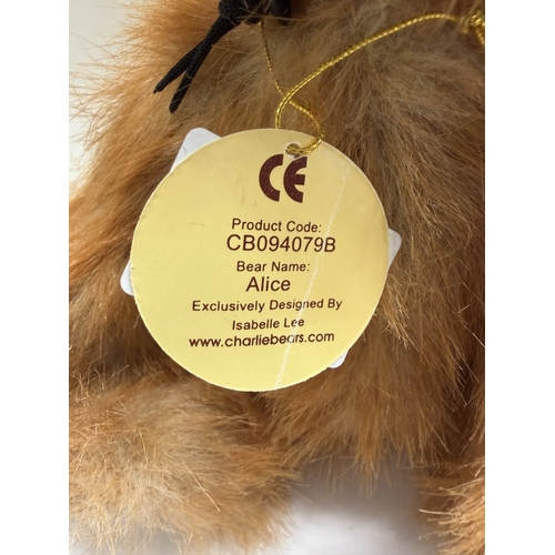 296 - A Charlie Bear Alice