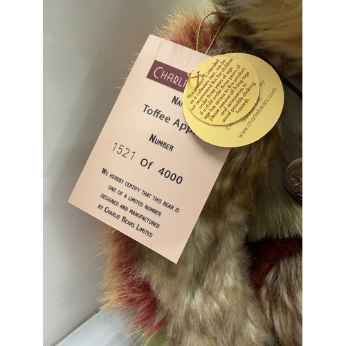 301 - A Charlie Bear Toffee Apple Limited Edition 1521 / 4000