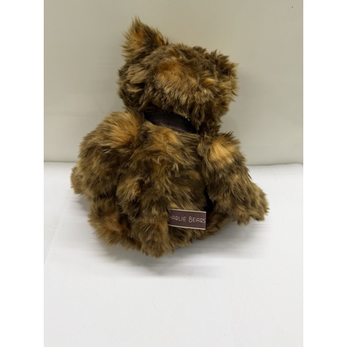 322 - A Charlie Bear Nik Nak