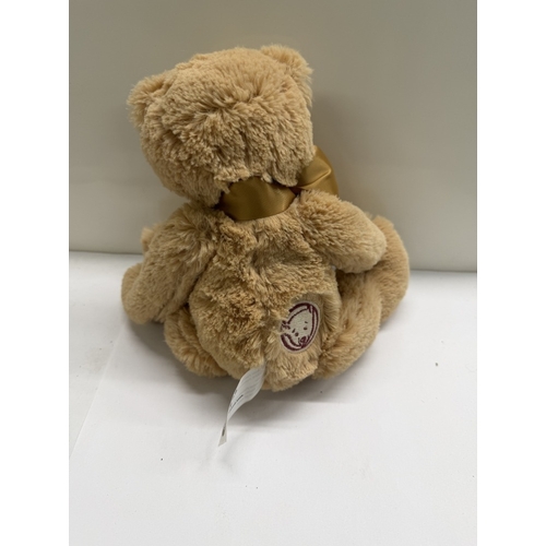 339 - A Charlie Bear My First Charlie Bear