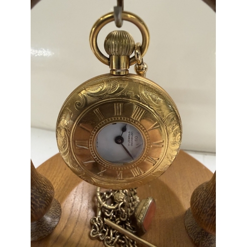 145 - An oak pocketwatch display stand with gold tone Limit 17 Jewels incabloc pocket watch & brass chain