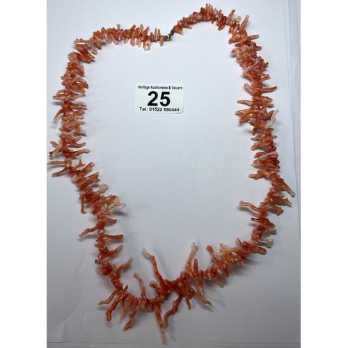 Lot 25        