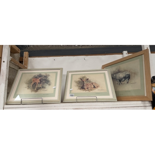Lot 1555      