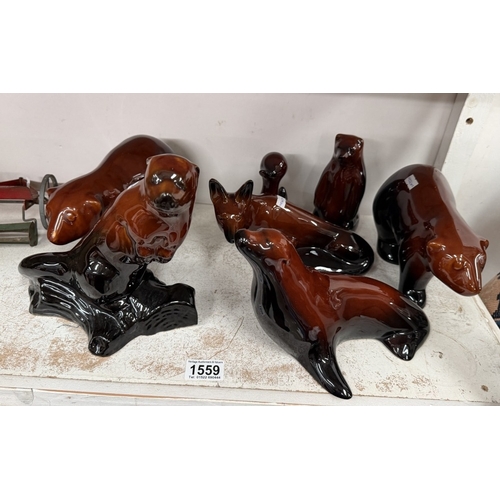 Lot 1559      