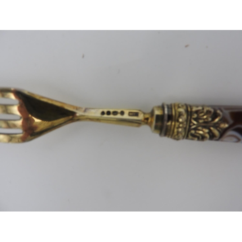 193 - FINE GEORGE IV SILVER GILT AGATE BOXED FRUIT KNIFE AND FORKWILLIAM CHAWNER, LONDON 1829with tapered ... 