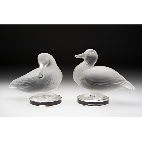 217 - A MODERN LALIQUE 'CANARD DEBOUT' FIGURE and another similar; signed 'Lalique (R) France'11 cm high... 