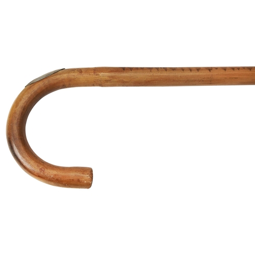 67 - A WALKING STICK with a knop carved in the form of a terriers head, with glass eyes and a white metal... 