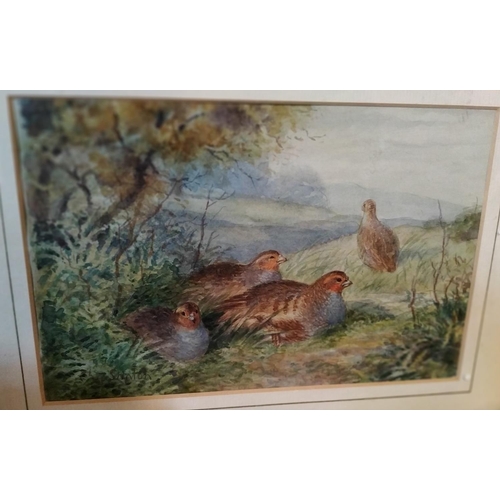 247 - ATTRIBUTED JAMES STINTON (BRITISH 1870-1961)'PARTRIDGES IN A LANDSCAPE'signed lower left, watercolou... 