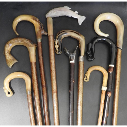 69 - NINE 20TH CENTURY SCOTTISH HORN TOPPED AND WOOD WALKING STICKS variously carved as salmon etc