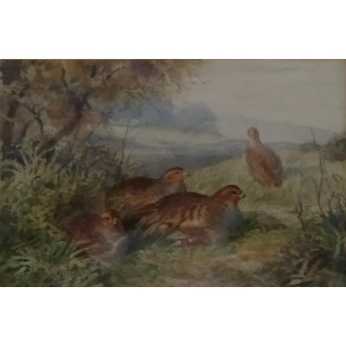 247 - ATTRIBUTED JAMES STINTON (BRITISH 1870-1961)'PARTRIDGES IN A LANDSCAPE'signed lower left, watercolou... 