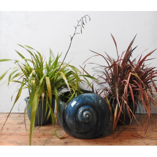 109 - A TURQUOISE GLAZED CONCH SHELL SHAPED GARDEN PLANTER AND TWO OTHERS, also turquoise glazed, planted ... 