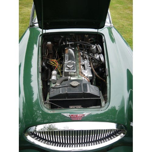 231 - 1963 AUSTIN-HEALEY 3000 MARK IIRegistration Number: MJF 346Chassis Number: H-BJ7-24376Recorded Milea... 