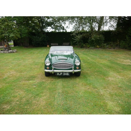 231 - 1963 AUSTIN-HEALEY 3000 MARK IIRegistration Number: MJF 346Chassis Number: H-BJ7-24376Recorded Milea... 