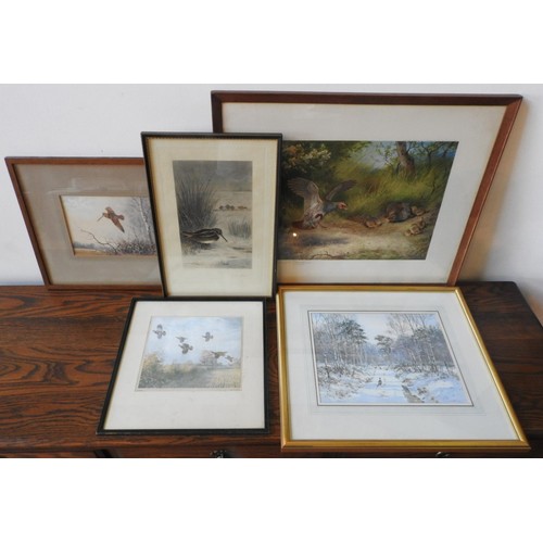 207 - A SIGNED ARCHIBALD THORBURN PRINT OF PARTRIDGES, THREE ORNITHOLOGICAL PRINTS AND WATER COLOUR, the T... 