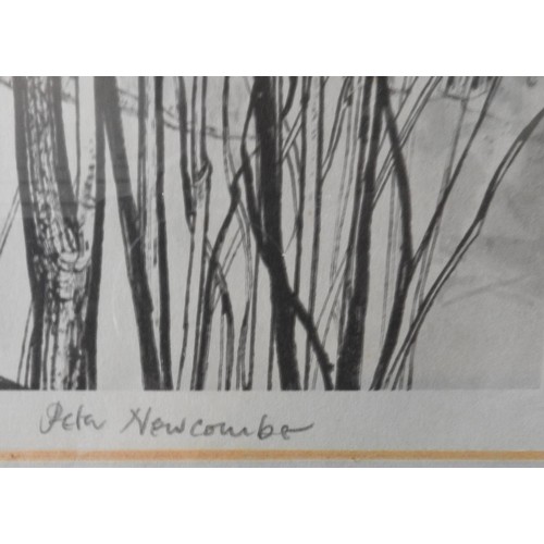 208 - SIGNED AND NUMBERED WINTER SCENE MONOCHROME PRINT BY PETER , signed in pencil on lower edge and insc... 