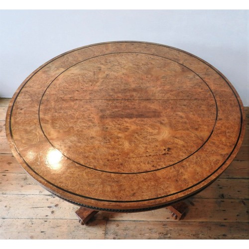 69 - A GEORGE IV BURR ELM CIRCULAR TOP DINING TABLE ON CARVED CENTRAL PEDESTAL, with a curved edge base o... 