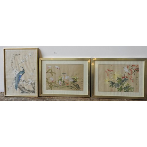 246 - THREE CHINESE WATER COLOURS OF BIRDS, measuring 53 x 28 cm and similar