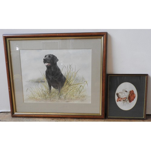 255 - TWO ORIGINAL WATER COLOURS OF BLACK LABRADOR AND SETTER, the labrador painting by James Rowley, sign... 