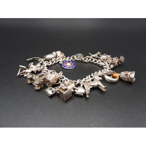 455 - A SILVER CHARM BRACELET, with sixteen assorted charms attached, total weight 72 grams