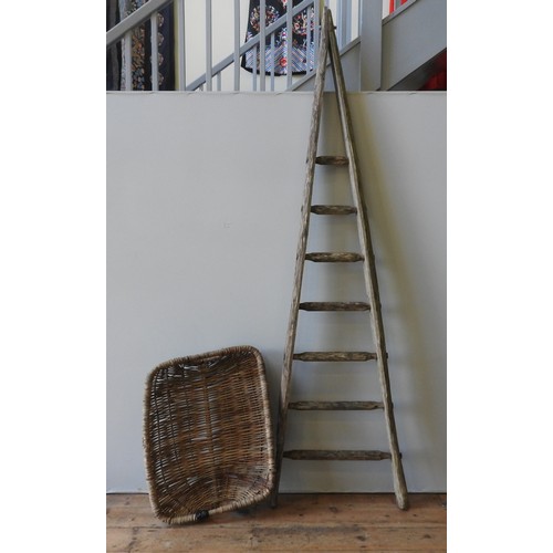 146 - A WEATHERED FRENCH ORCHARD LADDER AND WICKER TRUG, the seven rung ladder measuring 220 cm high