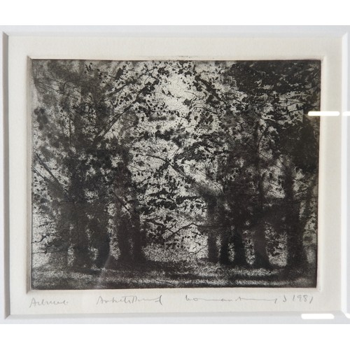 248 - NORMAN ACKROYD (b.1938) 'AUTUMN' ARTIST'S PROOF ETCHING, signed and dated in lower right corner, ins... 