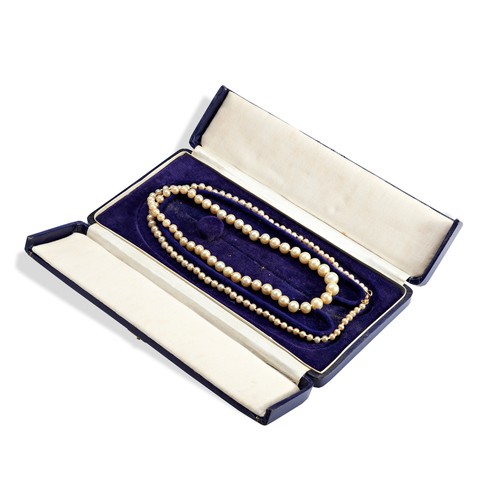 546 - A STRING OF SIMULATED PEARLSNecklace length 67cm, 9ct gold clasp.Weight 27gms.Boxed... 