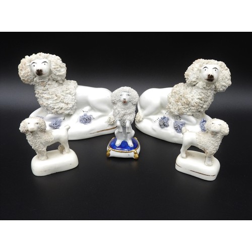 430 - A PAIR OF 19TH CENTURY STAFFORDSHIRE FIGURS OF POODLES WITH APPLIED 'SEIVED' RUFFS,  tiny pair of po... 