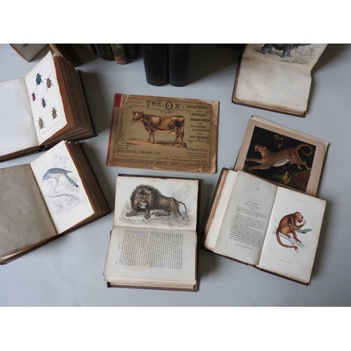 280 - A QUANTITY OF VINTAGE REFERENCE BOOKS RELATING TO ORNITHOLOGY AND NATURAL HISTORY, including 'Modern... 