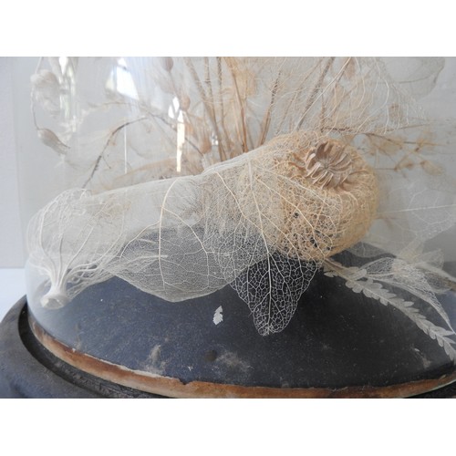 314 - A VICTORIAN SKELETON LEAF CENTREPIECE ARRANGEMENT IN GLASS DOME, 40 cm high, 33 cm diameterProvenanc... 