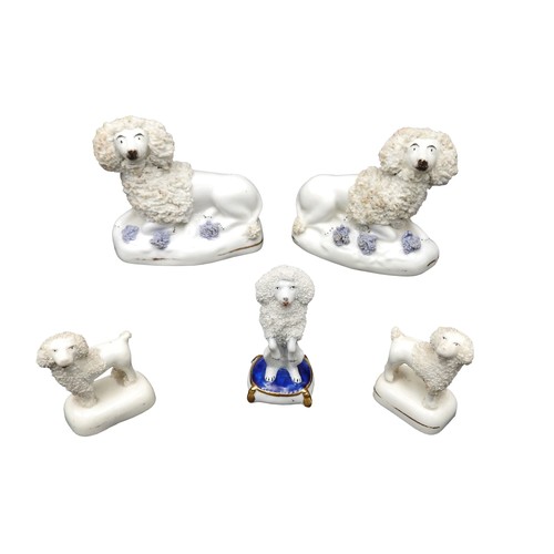 430 - A PAIR OF 19TH CENTURY STAFFORDSHIRE FIGURS OF POODLES WITH APPLIED 'SEIVED' RUFFS,  tiny pair of po... 