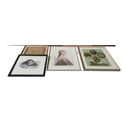 242 - AFTER ACKERMAN, 'HER MAJESTY', LITHOGRAPH, Pub. May 1851 and a quantity of other assorted prints. A ... 