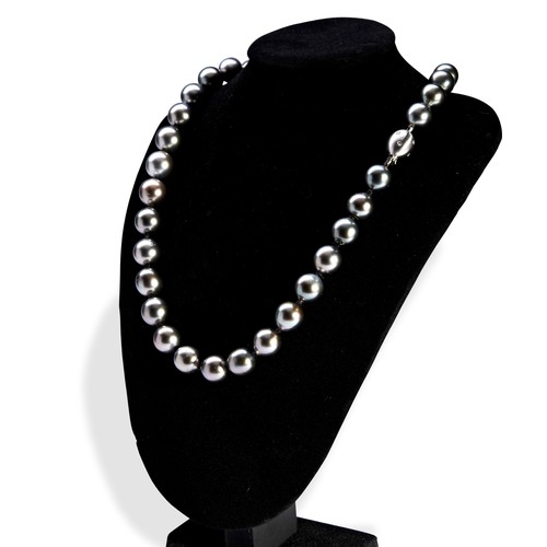 472 - TAHITIAN PEARL NECKLACE AND MATCHING EARRINGS A cultured black Tahitian pearl necklace with white go... 