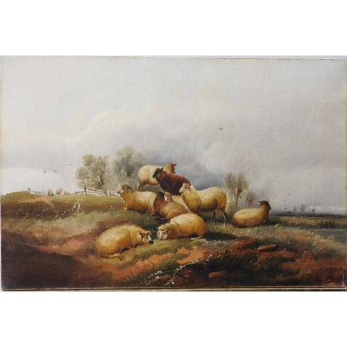 270 - A PAIR OF VICTORIAN OIL ON CANVASES OF SHEEP, signed and dated 'A M M S , 86' in lower left corner, ... 