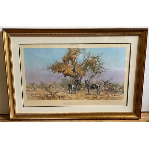 500 - TWO SIGNED DAVID SHEPHERD COLOUR LITHOGRAPHS ENTITLED 'ZEBRA AND COLONY WEAVING', 82cm X 48cm,ENTITL... 