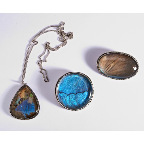 267 - A COLLECTION OF BUTTERFLY WING SET JEWELLERYAn oval shaped brooch with scolloped border. Brooch pin ... 