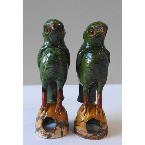 319 - A PAIR OF 19TH CENTURY CHINESE SANCAI GLAZED PARROT FIGURES, perched atop domed bases, 19.5 cm high