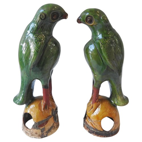 319 - A PAIR OF 19TH CENTURY CHINESE SANCAI GLAZED PARROT FIGURES, perched atop domed bases, 19.5 cm high