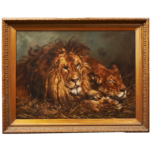 409 - ATTRIBUTED TO GEZA VASTAGH (1866-1919) 'LION AND LIONESS ' OIL PAINTING ON CANVAS, unsigned, 49.5 x ... 