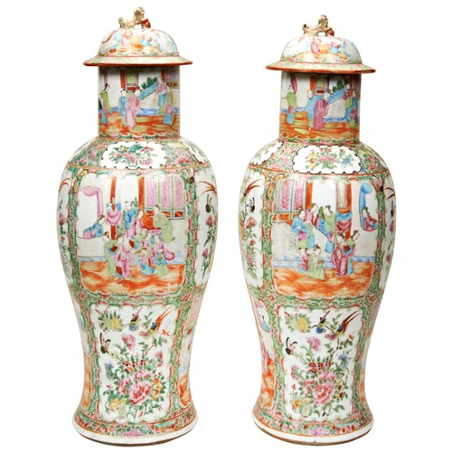 239 - A LARGE PAIR OF CHINESE FAMILE ROSE COVERED VASESQING DYNASTY, 19TH CENTURYdecorated in the typical ... 