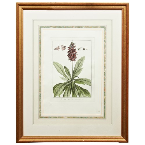 352 - A PAIR OF GILT FRAMED BOTANICAL LITHOGRAPHS, along with a garden scene pencil sketch and a still lif... 