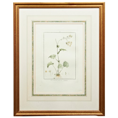 352 - A PAIR OF GILT FRAMED BOTANICAL LITHOGRAPHS, along with a garden scene pencil sketch and a still lif... 