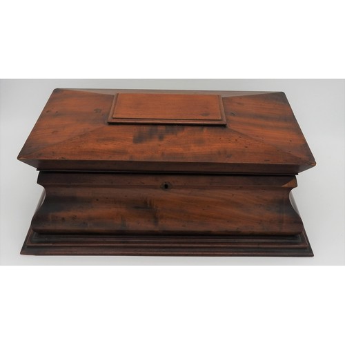 429 - A LARGE MAHOGANY FANCY SARCOPHAGUS SHAPED TEA CADDY, circa 1820, the interior with two slot in caddi... 