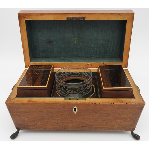 430 - A REGENCY MAHOGANY TEA CADDY, of sarcophagus form, raised on brass feet with feline mask side handle... 